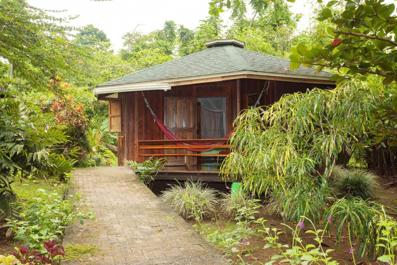 Bungalows Ache Cahuita Exterior photo